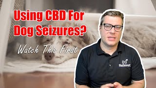 Using CBD For Dog Seizures? Watch This First