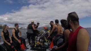Scuba Diving in the Azores - Ponta Delgada