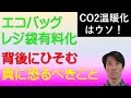 【温暖化・炭素税・気候変動】 レジ袋 有料化　エコバッグ　の背後に潜む本当に恐るべきこと／レジ袋・エコバッグ利権は全体で見れば小さなこと／洗脳が成功した事と将来の次の工作が本当の問題