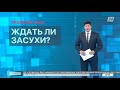 Урожай-2022: ждать ли засухи? | По факту