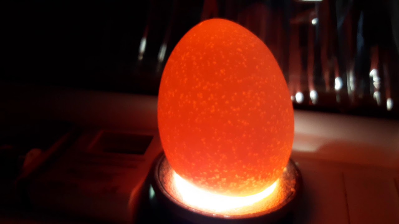 اليوم 18 من وضع البيض