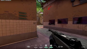 VALORANT Operator Bug