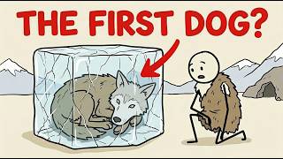 Scientists Found a Puppy Frozen in Time—What They Discovered SHOCKED Them