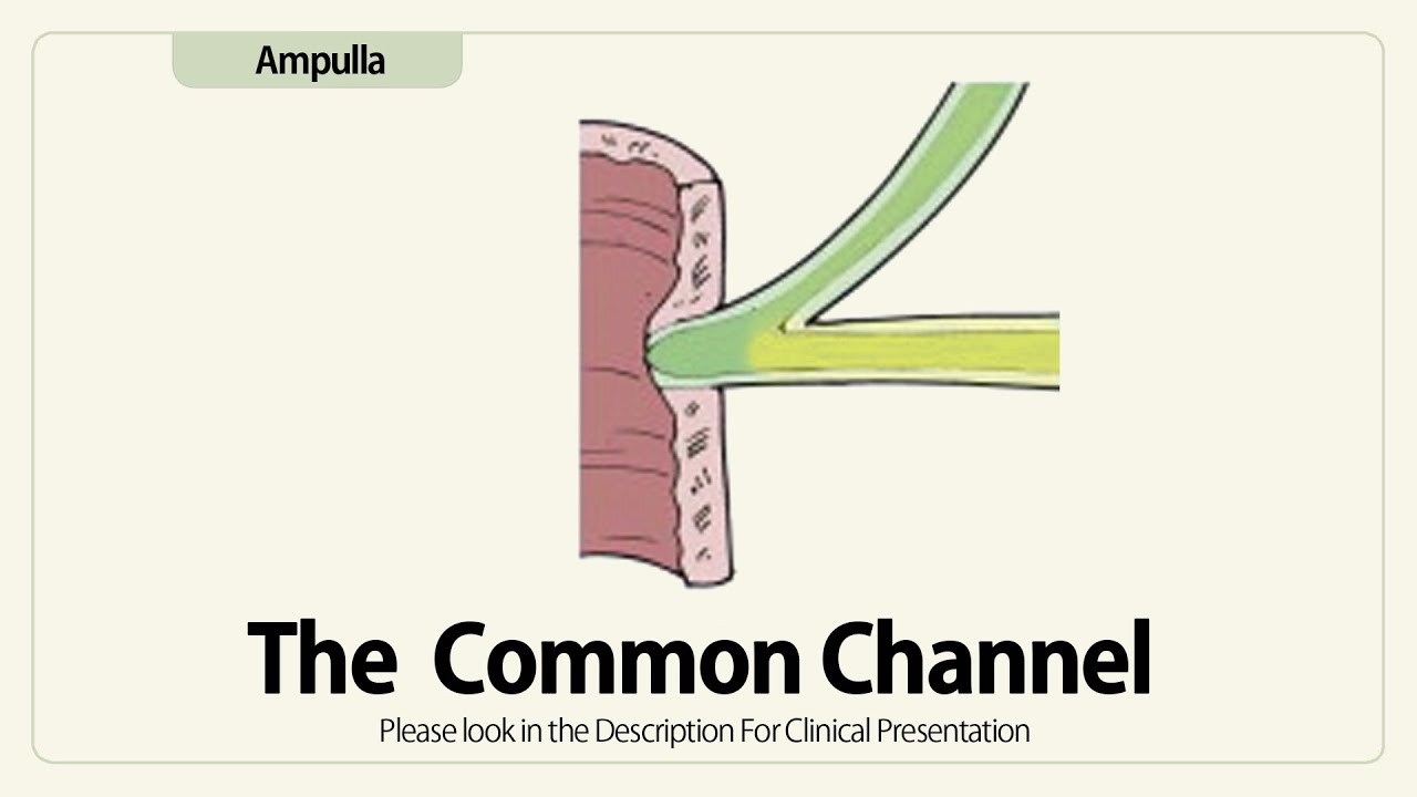 The.Common Channel - YouTube