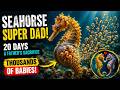 The Miracle of Male Seahorse Pregnancy: Nature's Super Father