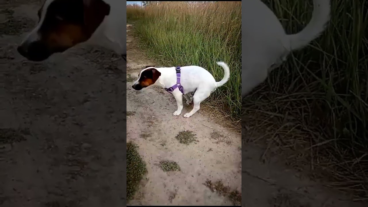 НУ ДАВАЙ Э..ЭЭ.. 