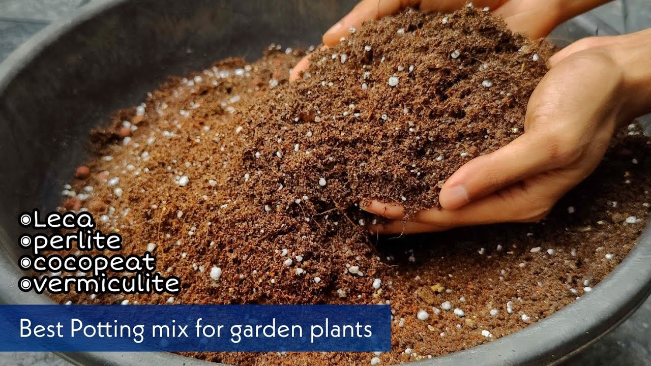 ചെടികൾക്ക് പൊട്ടിങ് മിക്സ് തയ്യാറാക്കാം..| cocopeat , vermiculite , perlite , leca