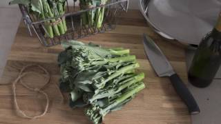 'Happy Rich' Mini Broccoli :: A Mainstay in the Garden