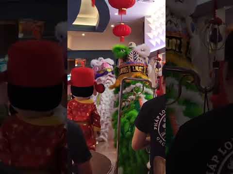 this is called dedication. #gambling #casino #shorts #viral #youtube #viralshorts