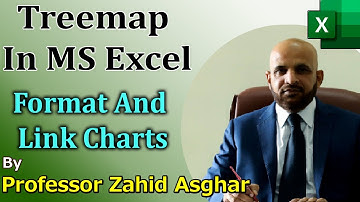 Treemap In MS Excel Format and Link Charts | Professor Zahid Asghar | Pakistan Economic Forum