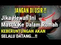 Anda beruntung seumur hidup  jika ada 10 hewan ini memasuki rumah anda  arti binatang masuk rumah