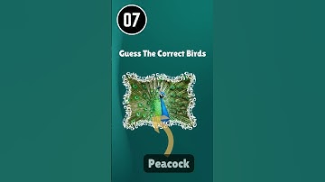 Guess The  Birds // Quizetics Official