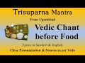 Vedic Chant before food | Trisuparna Mantra | Upanishad | Sri K. Suresh