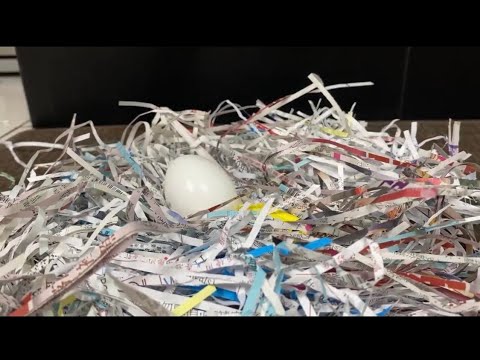十六歲正青春藝術節・青春創藝1分鐘短片 | 程永慧｜偷尖取巧
