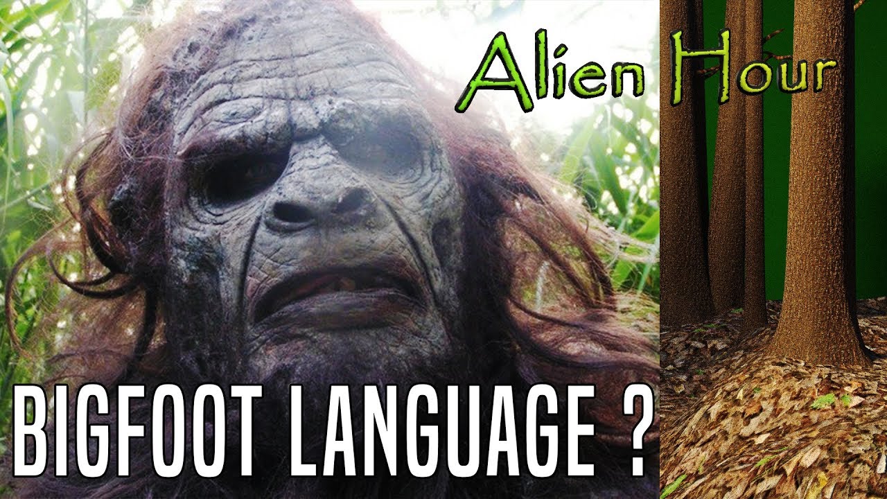 bigfoot-language-can-sasquatch-speak-youtube
