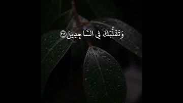 {وَتَوَكَّلْ عَلَى الْعَزِيزِ الرَّحِيمِ} [الشعراء : 217]القارئ وديع اليمني