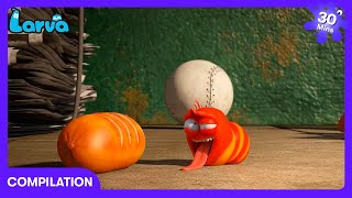 Larva - Baş Döndüren Yarış! | Çocuk Çizgi Film | WildBrain Gadget Garajı