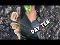 super ratchet guitar session with the boys, bonus car rev (day 10)