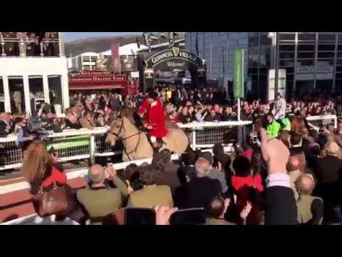 Faugheen the machine