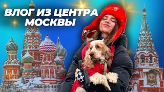 картинка: ❄️ВЛОГ ИЗ ЦЕНТРА МОСКВЫ С СОБАКОЙ | НАМ ОЧЕНЬ ПОВЕЗЛО😱
