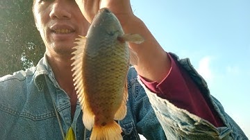 Điểm câu củ không bao giờ làm mình thất vọng.dính thứ dữ rồi.