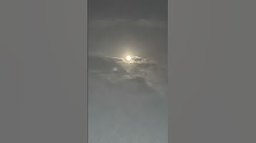 #سورة_الكهف #اسلام_صبحي #foryou #اكسبلور #لايك #السديس #automobile #ترند #explore #ماهر_المعيقلي