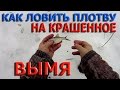 Как ловить ПЛОТВУ на КРАШЕННОЕ ВЫМЯ !!!