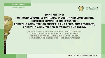 Joint Meeting: Committees on Trade, Transport, Minerals, Electricity & Energy, 28 November 2025