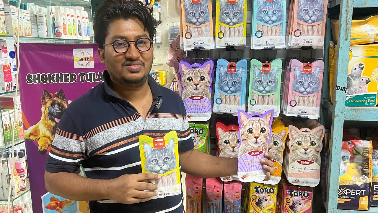 বিড়ালকে পোষ মানানোর সহজ মাদ্যম Best Cat Food Cat Treat or Cat