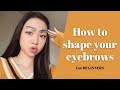 HOW TO SHAPE YOUR EYEBROWS | FOR BEGINNERS
