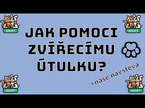 Video: 10 způsobů, jak pomoci místnímu útulku