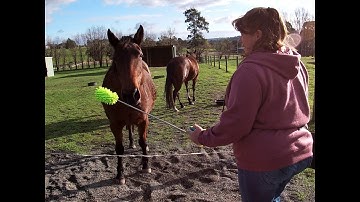 Nose Targeting Brief Tutorial video 9 Jun 19