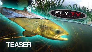 [TEASER] FLY TV - Small River Salmon in Denmark (double handed fly fishing)