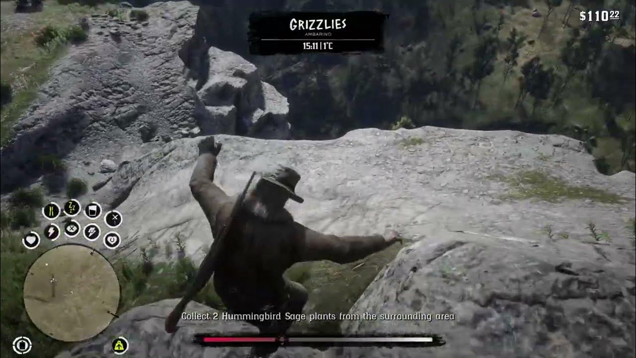 RDR2 Bug spinning and claim YouTube