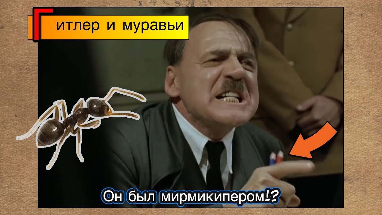 ГИТЛЕР и МУРАВЬИ