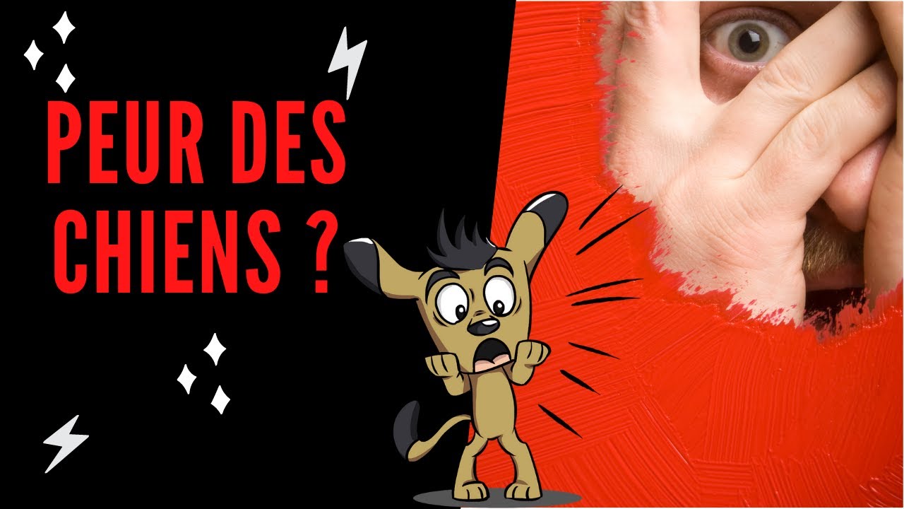 Comment ne plus avoir peur des chiens ? - YouTube