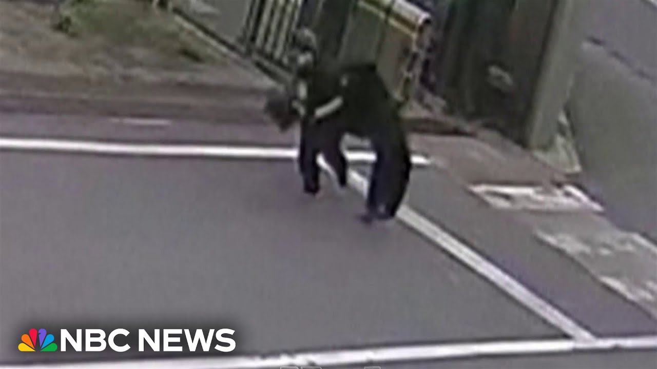 Bear attacks in Japan on the rise