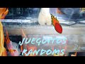 JUEGOS RANDOMS