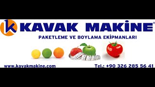Kavak Maki̇ne - Narenci̇ye Boylama Ve Paketleme Tesi̇si̇ Citrus Sorting And Packing House