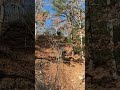 Steeper in person! #oldmenthatusedtorace #bike #subscribe #youtube #youtubeshorts #emtb #mtb #ride