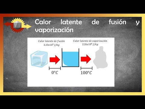 Video: ¿Durante el calor latente de evaporación?