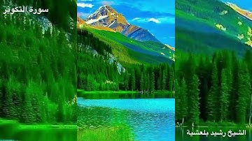المصحف المرتل للشيخ رشيد بلعشية ((سورة التكوير))