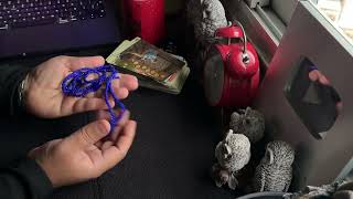 Download Lagu 🔴AQUÁRIO ♒️ 11. – “Eles Não Sabiam, Mas Você Vai Receber Algo Que Nunca Esperou!” MP3