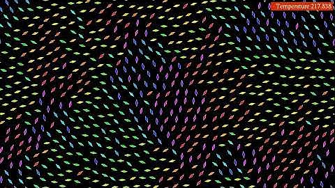 Interacting dipoles on a torus
