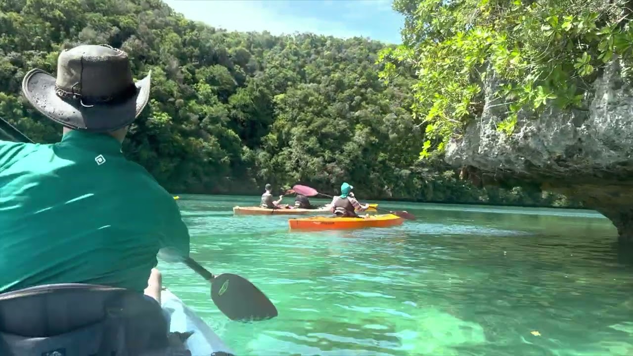 Exploring Palau: A Wild Escape into Crystal-Blue Seas