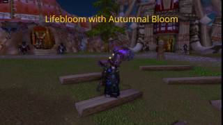 Legion Druid Lifebloom Glyphs (Autumn Bloom and Twilight Bloom)