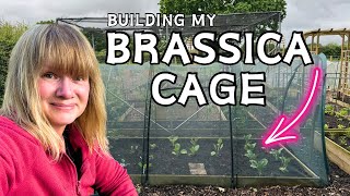 Gardening Jobs - Brassica’s Out | Plus Chatting With Eli (Eli & Kate)