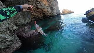 Ultralight Fishing | Napakadaming Honeycomb Grouper sa Spot na to! | BATANES