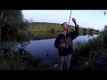 Рыбалка на Дону 10 11 августа