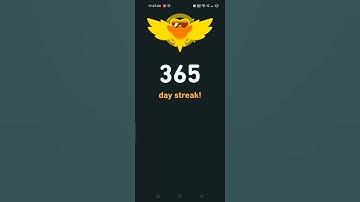 Duolingo 365 day streak | Japanese Language